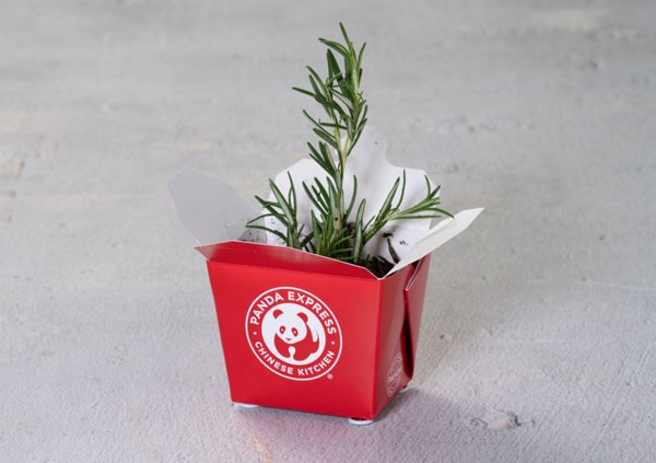 Plant a Garden in Takeout containers