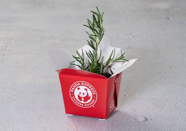 Plant a Garden in Takeout containers